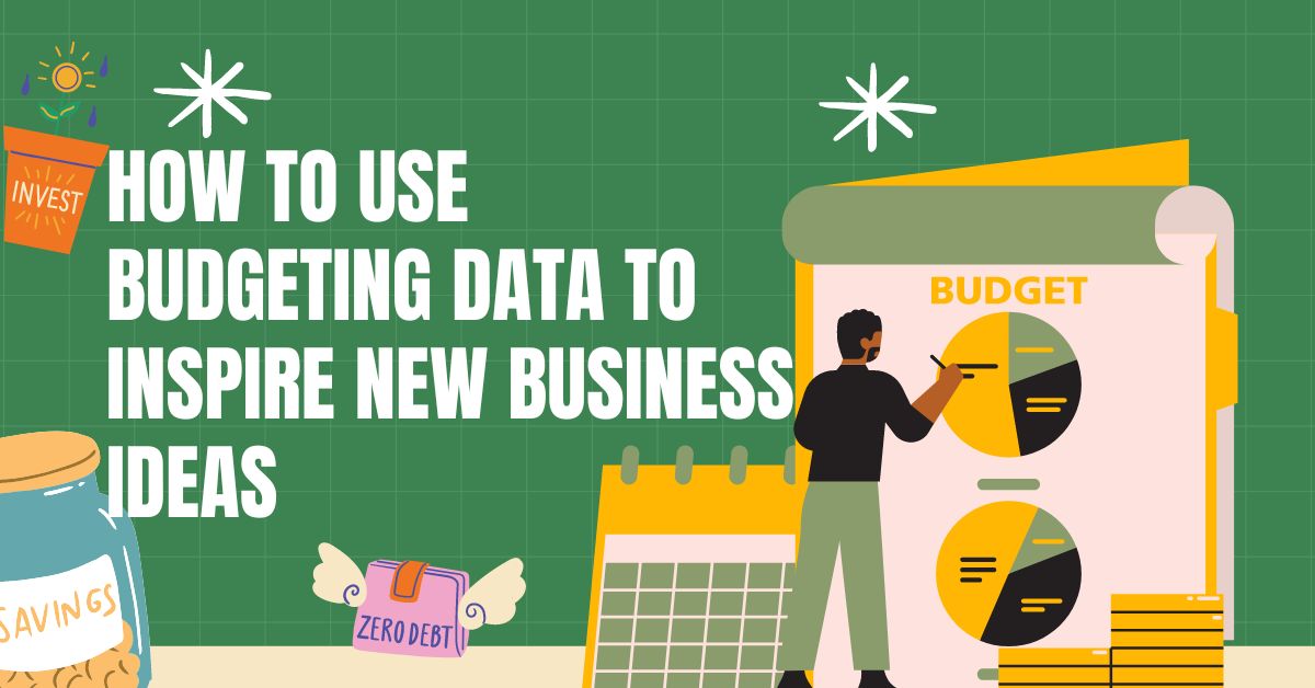 How to Use Budgeting Data to Inspire New Business Ideas